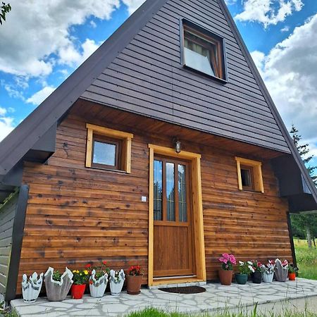 House Bojana Villa Zabljak  Luaran gambar